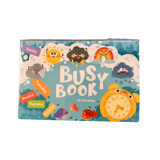 Early Learning Busy Book